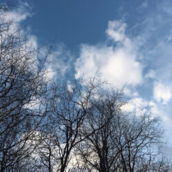 FM 06_Emily_Aalde_vaikus