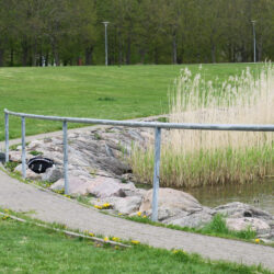 20200515-IMG_2000