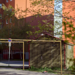 _DSC0499