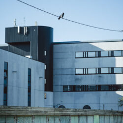 _DSC0521