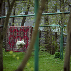 _DSC0589