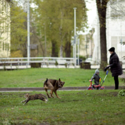 _DSC0753