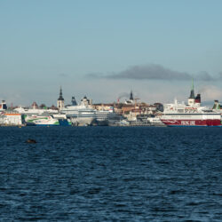 QFoto-RaigoPajula_-24