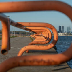 QFoto-RaigoPajula_-25