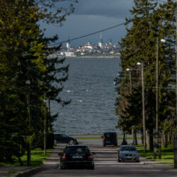 QFoto-RaigoPajula_-39