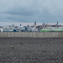 QFoto-RaigoPajula_-6