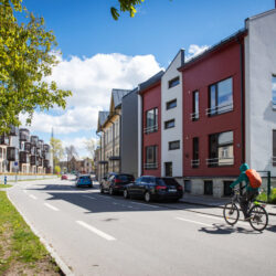 Tallinnapäev_Kitsekyla_MeeliKyttim (14)