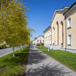 Tallinnapäev_Kitsekyla_MeeliKyttim (25)