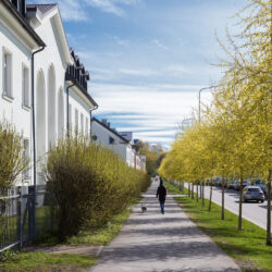 Tallinnapäev_Kitsekyla_MeeliKyttim (33)