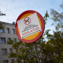 Tallinnapäev_Kitsekyla_MeeliKyttim (43)