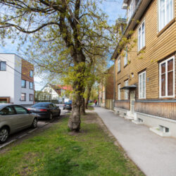 Tallinnapäev_Kitsekyla_MeeliKyttim (49)