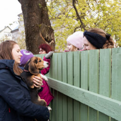 Tallinnapäev_Kitsekyla_MeeliKyttim (55)