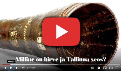 <b>ÕPPEVIDEOD - <br>huvitav ajalugu</b>