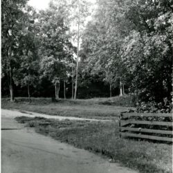 15-b