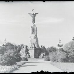 AMN19295_pisipilt