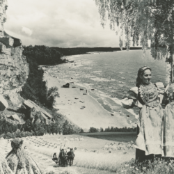 Eesti-loodus_CSarap