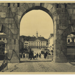tlm_f9801_176_pisipilt