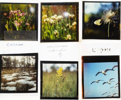<b>How to photograph nature?</b>