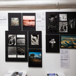 eesti_looduse_fototeek_mkyttim (24)