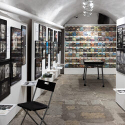 eesti_looduse_fototeek_mkyttim (7)