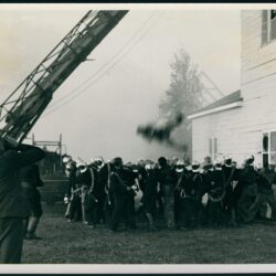 TTMF3113_1