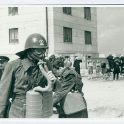 TTMF7741_1_pisipilt