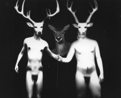 <b>ÖÖGALERII: galeriis SEEK Alyona Movko-Mägi isikunäitus „Soo“</b>